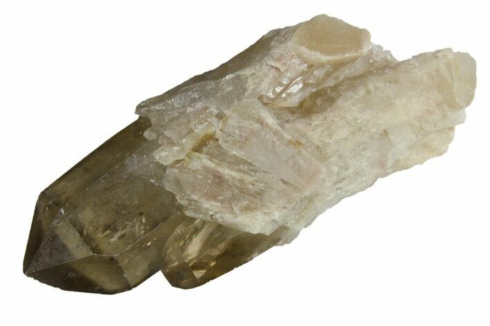 Smoky Citrine Crystal Cluster - Lwena, Congo #157272